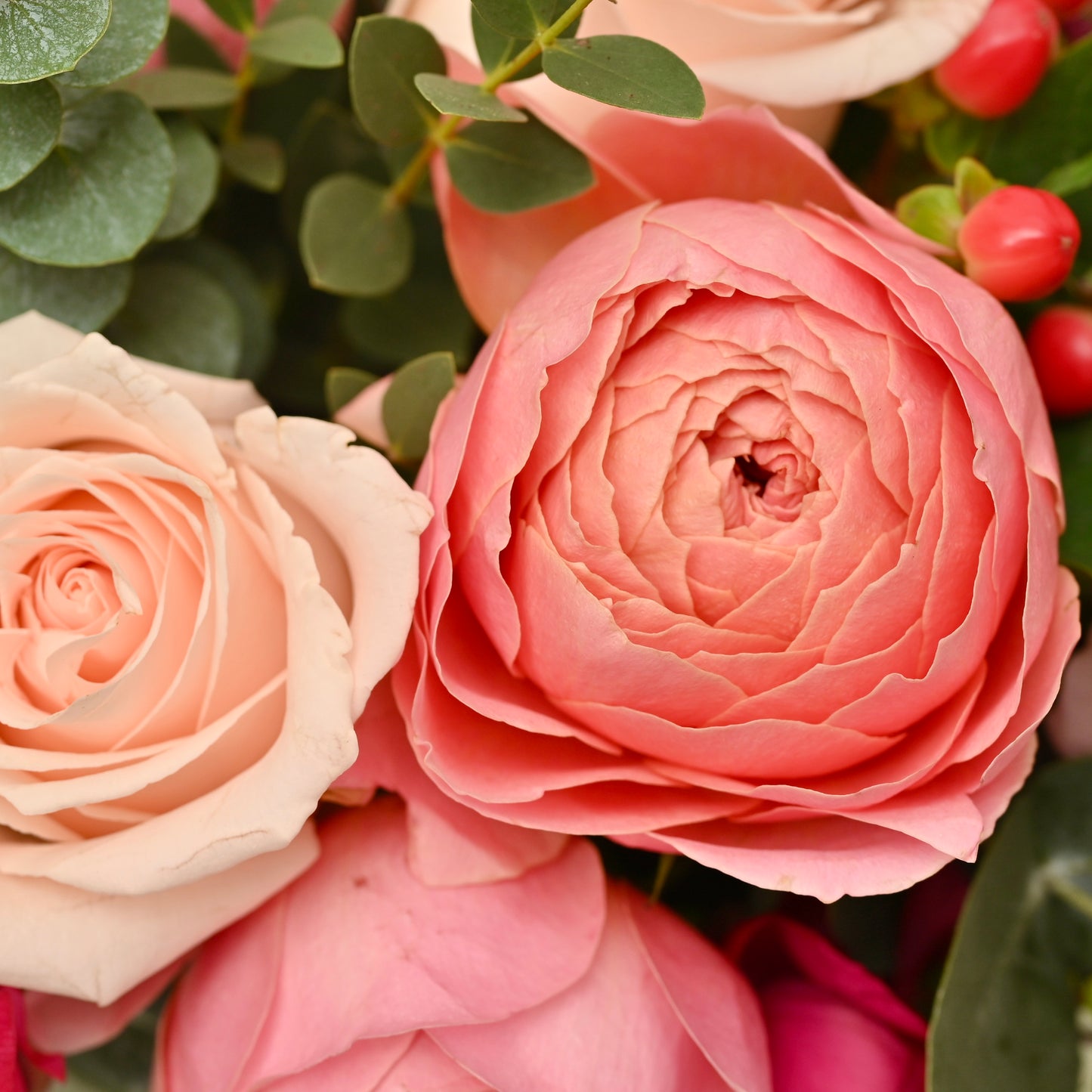 Rosy Grace