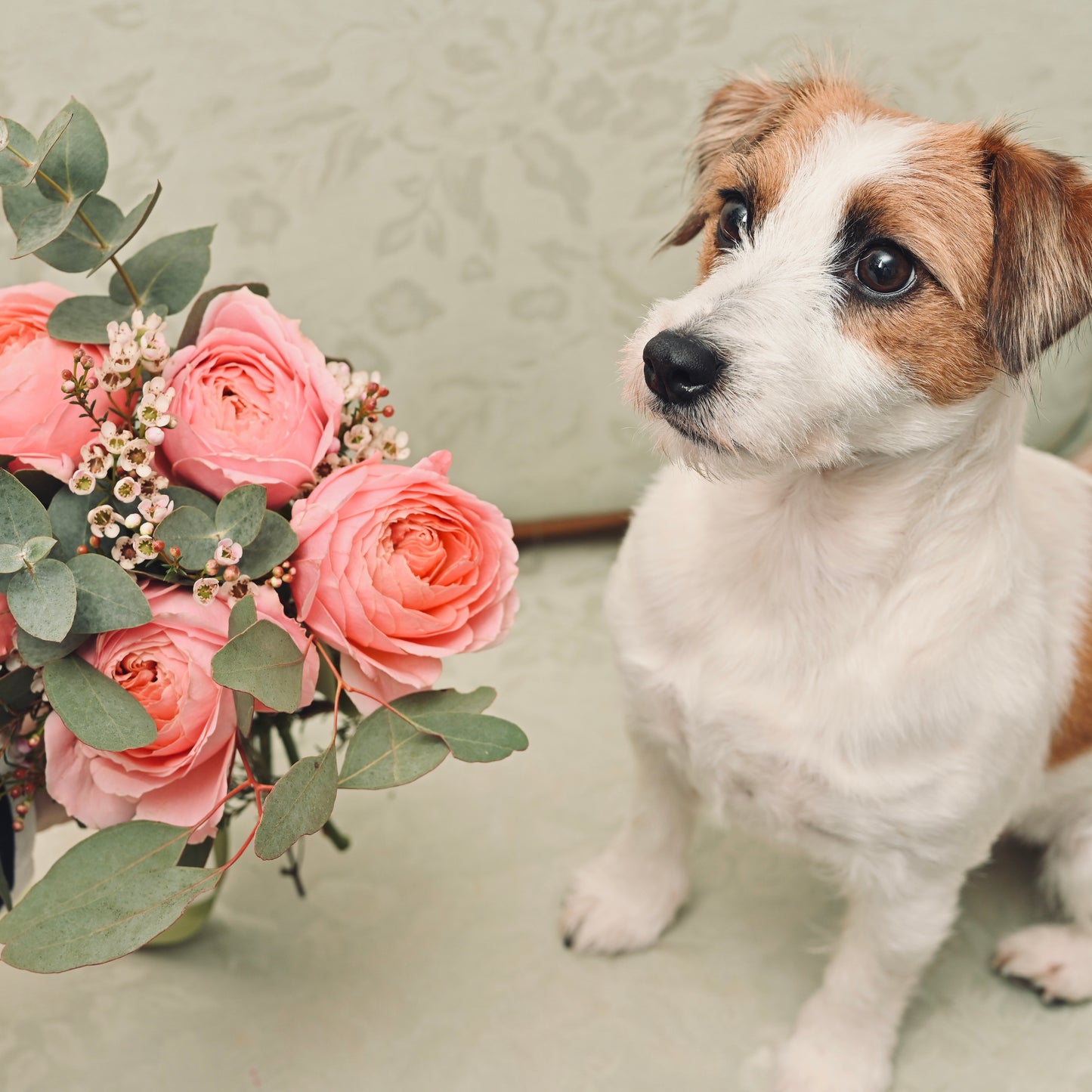 Rose Romantik