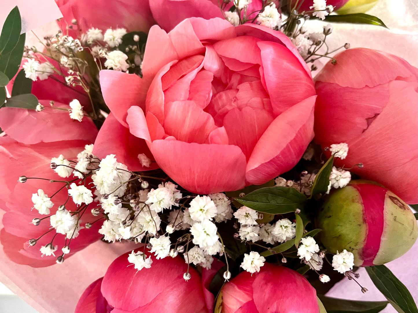 Café Pivoine