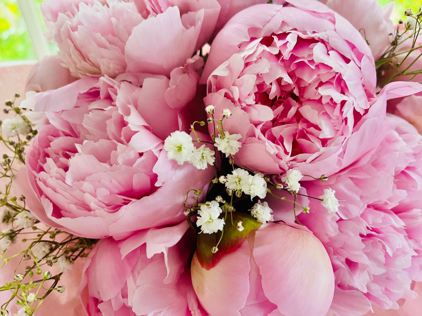 Peony Amour