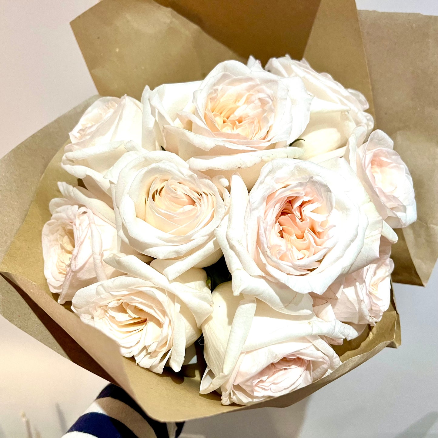 Blush Bloom
