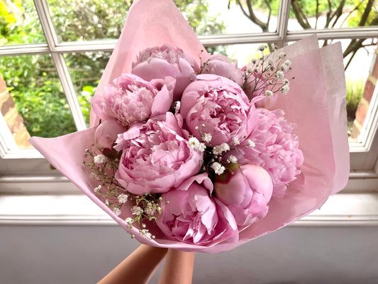 Peony Amour