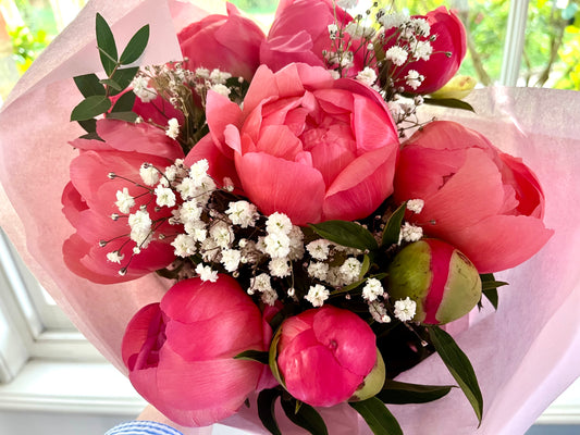 Café Pivoine